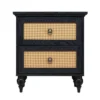 Newcomb 2 Drawer Nightstand Black - Sango