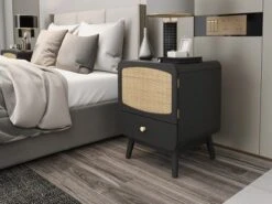 Alyson 22.13'' H X 15.75'' W X 15.75'' D Carry With 1 Rattan Doors And 1 Drawer Nightstand With Storage-The Pop Maison -DreamNest Store GUEST 2ba0d7a5 e8e7 4eb3 af78 40de9510487a
