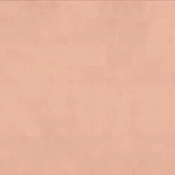 Emma Shell Upholstered Platform Bed - Skyline Furniture 7 Emma Shell Upholstered Platform Bed - Skyline Furniture -DreamNest Store GUEST 60ec18ed 02ff 47e8 80a5 47feff82d850