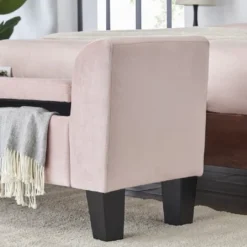 Simple Relax Bedroom Velvet Bench With Storage In Pink -DreamNest Store GUEST b09b954b 1dfa 412a 80f2 c989bf7ed7d4